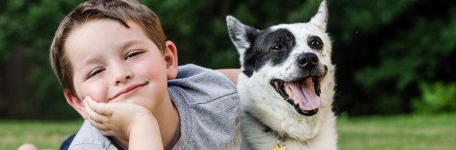 Por que os animais são importantes na infância