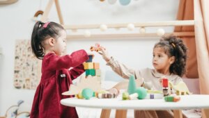 Ideias para organizar brinquedos gastando pouco